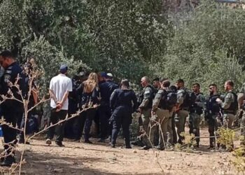 Colonos atacan viviendas y olivares palestinos en Cisjordania