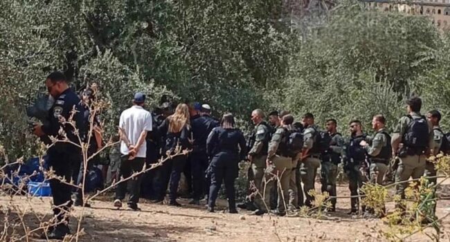 Colonos atacan viviendas y olivares palestinos en Cisjordania