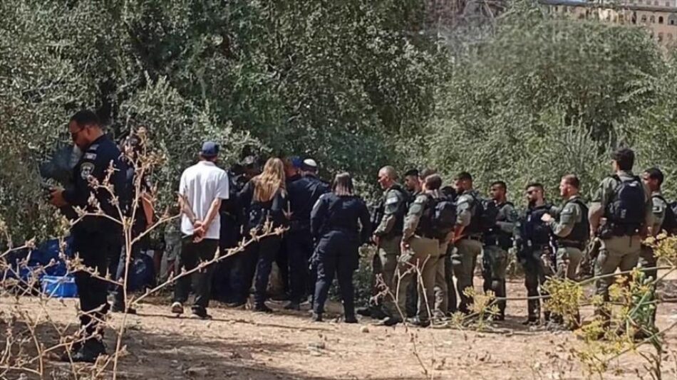 Colonos atacan viviendas y olivares palestinos en Cisjordania