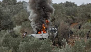 Colonos sionistas secuestran a siete agricultores palestinos e hieren a otros cuatro