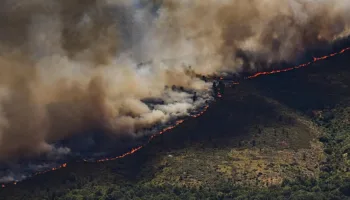 La Alianza por la Restauración de la Naturaleza pide un Plan Nacional más ambicioso para recuperar ecosistemas y hacer frente a los fenómenos extremos