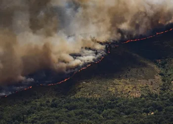 La Alianza por la Restauración de la Naturaleza pide un Plan Nacional más ambicioso para recuperar ecosistemas y hacer frente a los fenómenos extremos