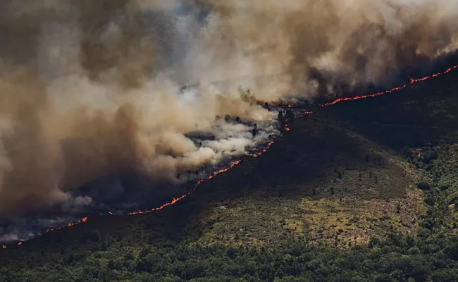 La Alianza por la Restauración de la Naturaleza pide un Plan Nacional más ambicioso para recuperar ecosistemas y hacer frente a los fenómenos extremos