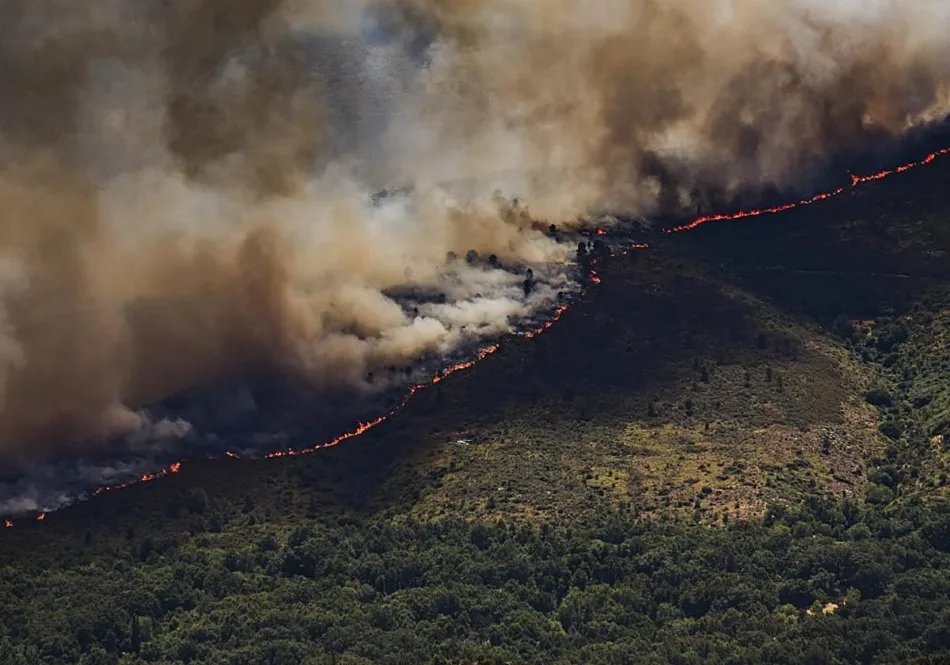 La Alianza por la Restauración de la Naturaleza pide un Plan Nacional más ambicioso para recuperar ecosistemas y hacer frente a los fenómenos extremos