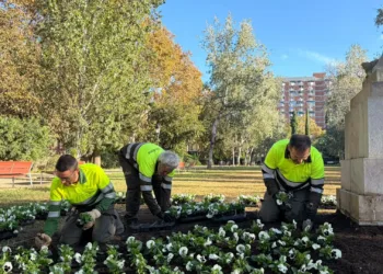Inspecció de Treball adverteix que Parcs i Jardins de Barcelona no va protegir la plantilla durant les onades de calor