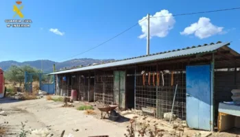 PACMA pide incluir a los perros de caza en la Ley de Bienestar Animal tras la muerte de 29 perros de una rehala de Talavera de la Reina