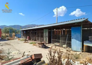 PACMA pide incluir a los perros de caza en la Ley de Bienestar Animal tras la muerte de 29 perros de una rehala de Talavera de la Reina