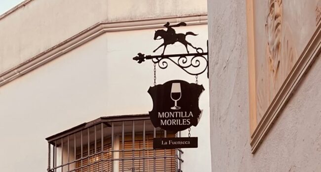 El Parlamento andaluz da el primer paso unánime para blindar los cines de verano de Córdoba como Bien de Interés Cultural