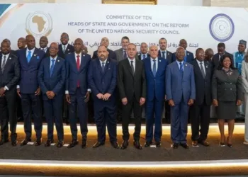 África exige dos puestos permanentes en el Consejo de Seguridad de ONU