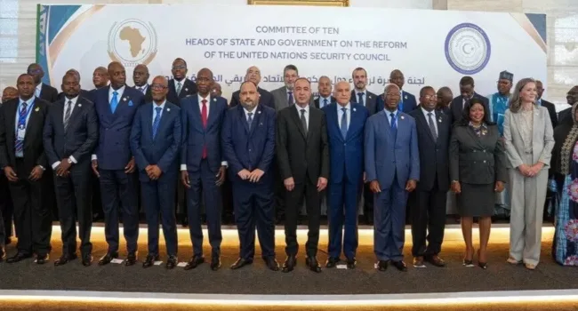 África exige dos puestos permanentes en el Consejo de Seguridad de ONU