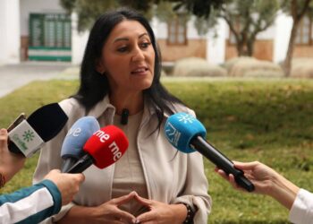 Podemos elige sus cabezas de lista en las ocho capitales andaluzas para las municipales