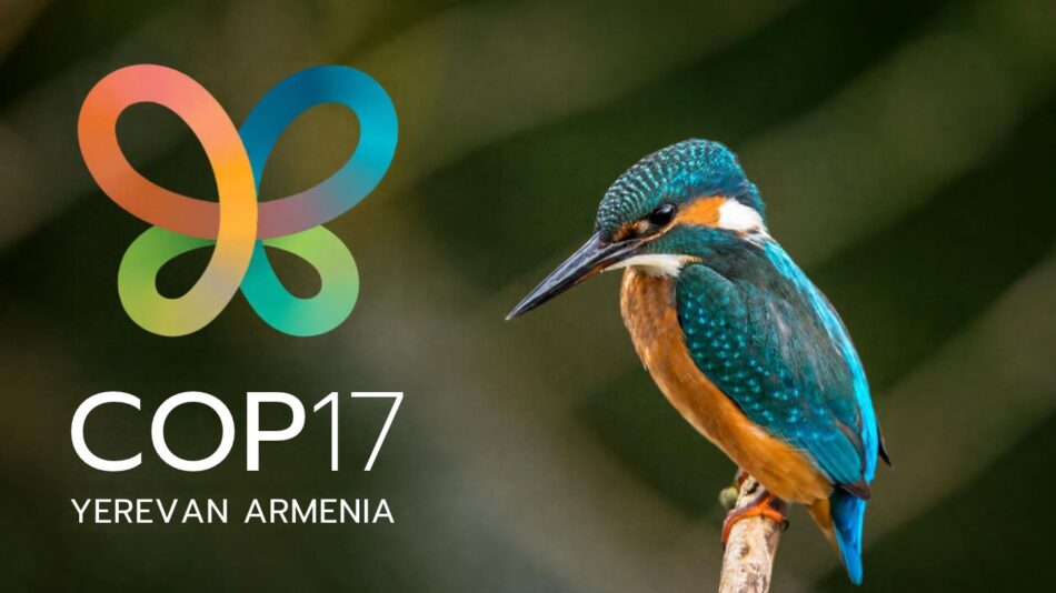 Los gobiernos de todo el mundo se someten a examen en la COP 17 de Biodiversidad 