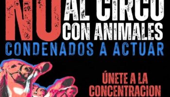 Acción contra el circo con animales, en Valencia, el 30 de octubre