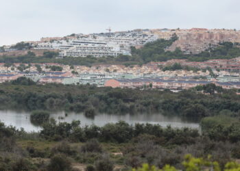 En el día de las aves reivindican la conservación del Clot de Galvany y alertan de la amenaza de las plantas fotovoltaicas aprobadas en su entorno