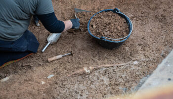 Avanzan los trabajos de exhumación de la Guerra Civil en Cáceres con el hallazgo de seis represaliados