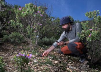 En busca de nuevos aliados para adaptarse al cambio microclimático