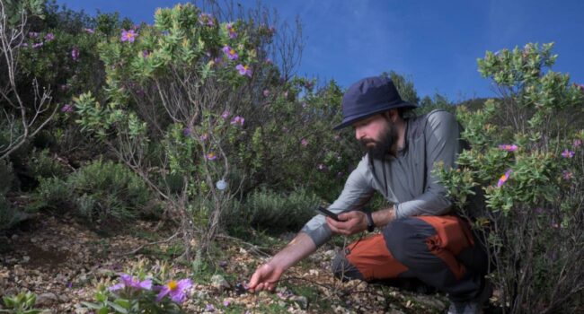 En busca de nuevos aliados para adaptarse al cambio microclimático