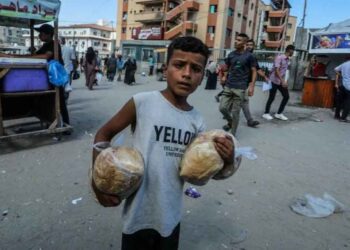 Gaza registra 1,4 millones de personas en riesgo alimentario