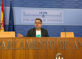 Adelante Andalucía llevará al Tribunal Constitucional la reforma exprés de la Cámara de Cuentas impulsada por PP y Vox