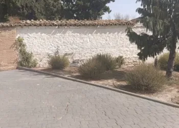 Exhumaciones en La Muela (Zaragoza)