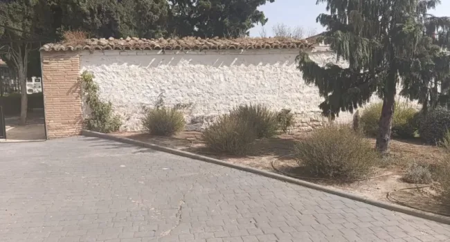 Exhumaciones en La Muela (Zaragoza)