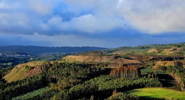 A plataforma Mina Touro O Pino NON rexeita frontalmente a inclusión da mina de Cobre San Rafael na lista de «proxectos estratéxicos» da Comisión Europea