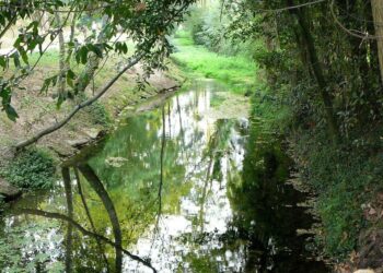 Ecoloxistas Galiza cuestiona o modelo de auga da Deputación de Pontevedra e alerta sobre verteduras e riscos sanitarios en Galicia