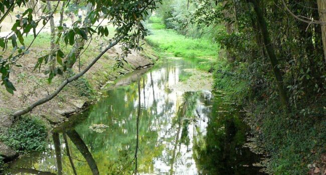 Ecoloxistas Galiza cuestiona o modelo de auga da Deputación de Pontevedra e alerta sobre verteduras e riscos sanitarios en Galicia