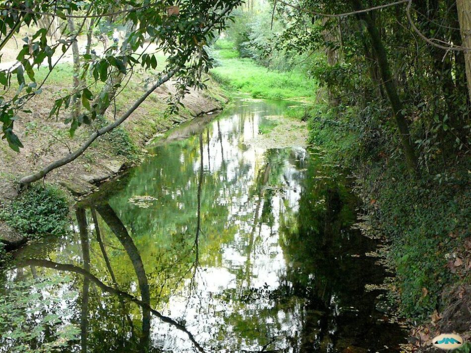 Ecoloxistas Galiza cuestiona o modelo de auga da Deputación de Pontevedra e alerta sobre verteduras e riscos sanitarios en Galicia