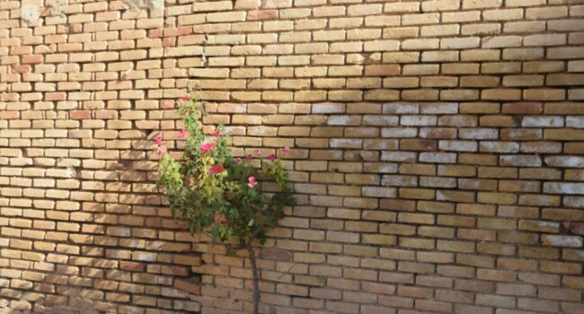 Rutas para la memoria: la historia viva de Zaragoza a través del recuerdo y el homenaje