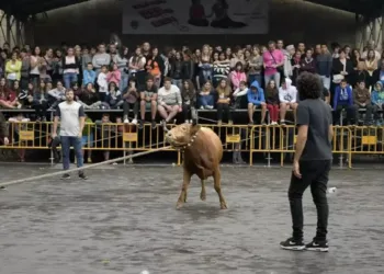 El Defensor del Pueblo comparte la preocupación de PACMA por la seguridad de los menores en los festejos taurinos de Euskadi