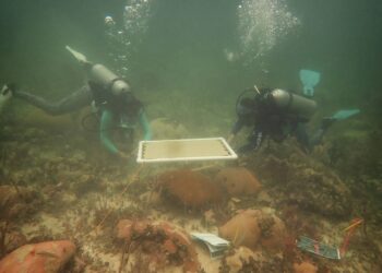 ‘Sombrillas’ submarinas para proteger a los corales de las olas de calor