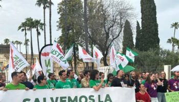 USTEA llama a llenar las calles el 11 de noviembre en defensa de la educación pública, los salarios y el derecho a la vivienda