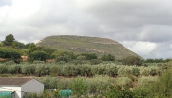 Compromís reta al PP a pedir informe del Consell Jurídic Consultiu sobre la Ley Forestal