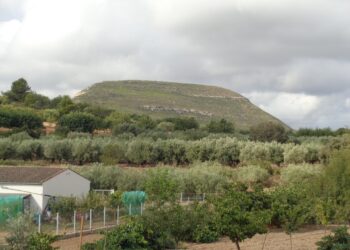 Compromís reta al PP a pedir informe del Consell Jurídic Consultiu sobre la Ley Forestal