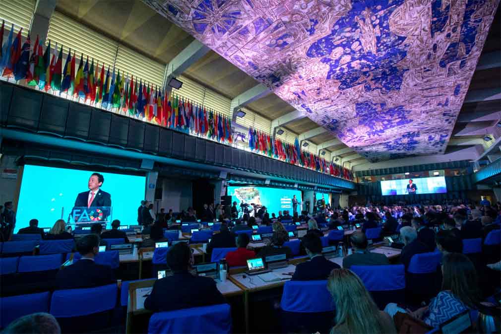 La FAO insta a poner la innovación al servicio de las personas - Tercera Información