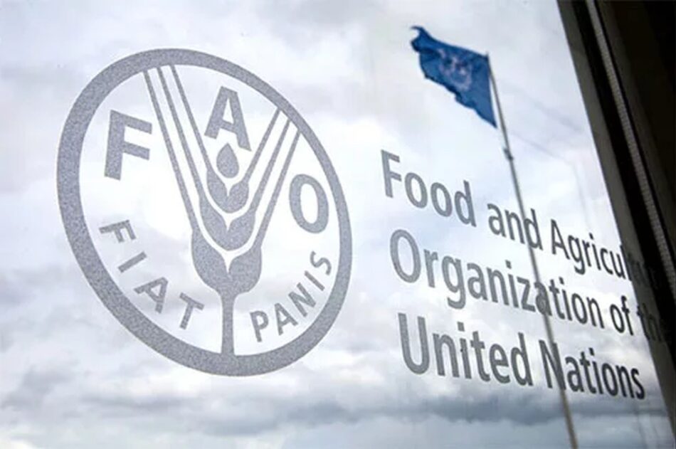Nuevos intercambios sobre agua e inversiones agrícolas en foro de FAO