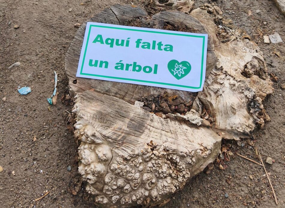 ‘Aquí falta un árbol–Ecomapa 2026’ registra en un fin de semana más de 148.000 puntos negros del arbolado urbano
