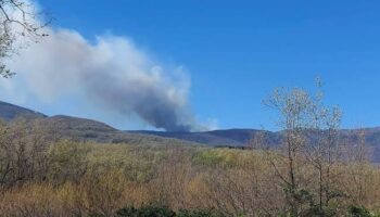 Presentan alegaciones al Decreto para la recuperación de las zonas afectadas por los incendios forestales