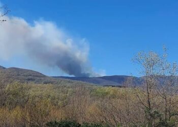 Presentan alegaciones al Decreto para la recuperación de las zonas afectadas por los incendios forestales