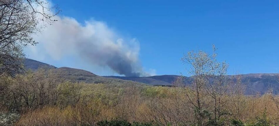 Presentan alegaciones al Decreto para la recuperación de las zonas afectadas por los incendios forestales