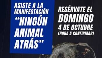 Las organizaciones de protección animal convocan una gran manifestación este domingo 4 de octubre en Madrid bajo el lema «Ningún Animal Atrás»