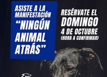 Las organizaciones de protección animal convocan una gran manifestación este domingo 4 de octubre en Madrid bajo el lema «Ningún Animal Atrás»