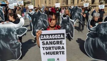 Activistas antitaurinos se concentra en la plaza del Pilar de Zaragoza para exigir el fin del dinero público a los toros