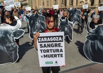 Activistas antitaurinos se concentra en la plaza del Pilar de Zaragoza para exigir el fin del dinero público a los toros