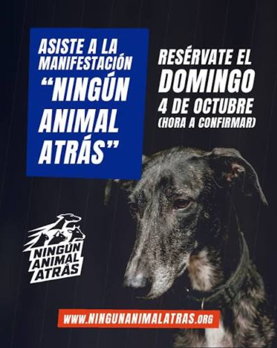 Las organizaciones de protección animal convocan una gran manifestación este domingo 4 de octubre en Madrid bajo el lema «Ningún Animal Atrás»