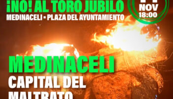 PACMA llama a la movilización contra el Toro Júbilo el 14 de noviembre y anuncia que convertirá Medinaceli en el nuevo Tordesillas