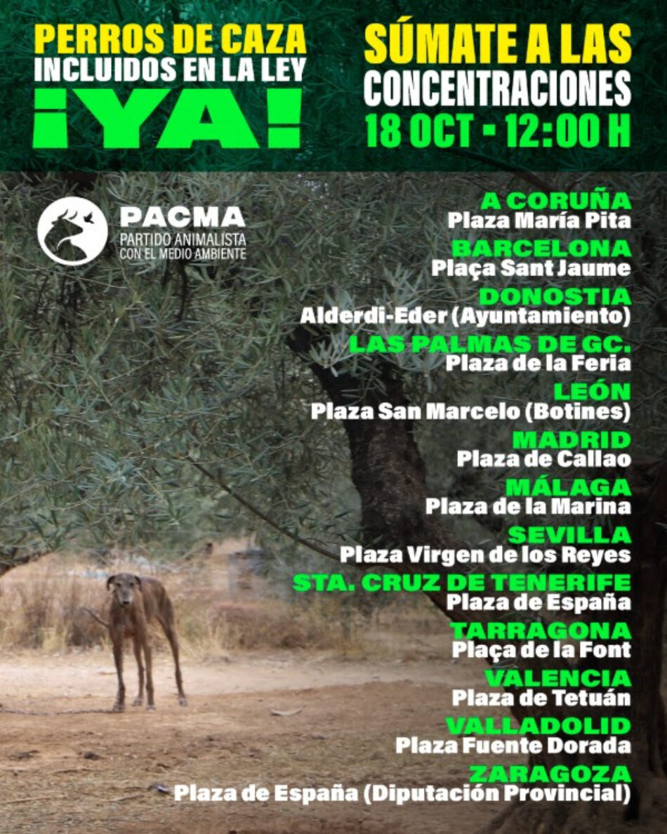 PACMA convoca concentraciones en trece ciudades por la inclusión de los perros de caza en la Ley de Bienestar Animal, el 18 de octubre