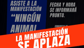 Las organizaciones de protección animal aplazan la manifestación «Ningún Animal Atrás» del 4 de octubre ante la inestabilidad política
