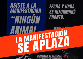 Las organizaciones de protección animal aplazan la manifestación «Ningún Animal Atrás» del 4 de octubre ante la inestabilidad política